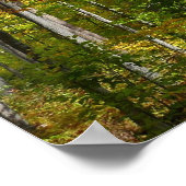 Herfstbos I Herfstlandschapsfotografie Poster (Hoek)