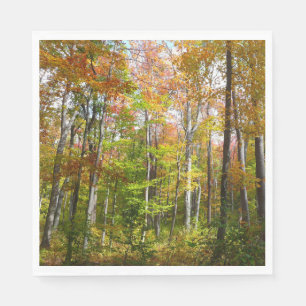 Herfstbos I Herfstlandschapsfotografie Servetten