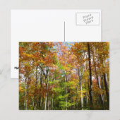Herfstbos II Herfstlandschapsfotografie Briefkaart (Voorkant / Achterkant)