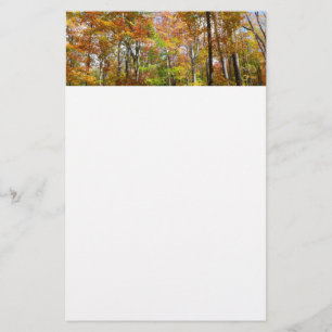 Herfstbos II Herfstlandschapsfotografie Briefpapier