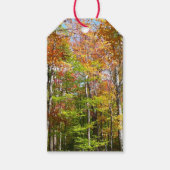 Herfstbos II Herfstlandschapsfotografie Cadeaulabel (Voorkant)