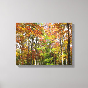Herfstbos II Herfstlandschapsfotografie Canvas Afdruk