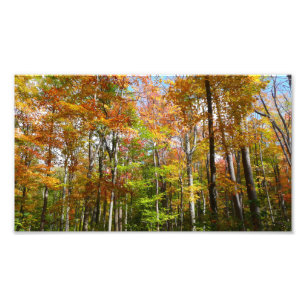 Herfstbos II Herfstlandschapsfotografie Foto Afdruk