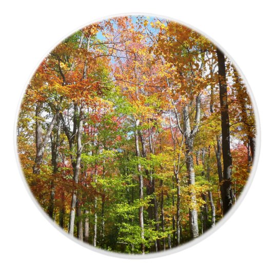 Herfstbos II Herfstlandschapsfotografie Keramische Knop (Voorkant)
