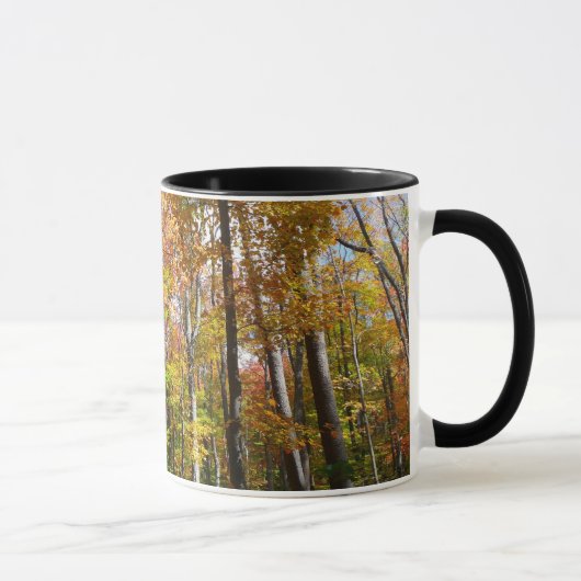 Herfstbos II Herfstlandschapsfotografie Mok (Rechts)