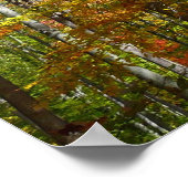 Herfstbos II Herfstlandschapsfotografie Poster (Hoek)