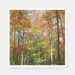 Herfstbos II Herfstlandschapsfotografie Servetten