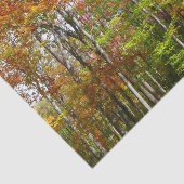 Herfstbos II Herfstlandschapsfotografie Tissuepapier (Detail)