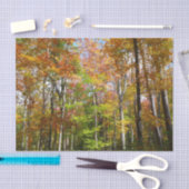 Herfstbos II Herfstlandschapsfotografie Tissuepapier (Craft)
