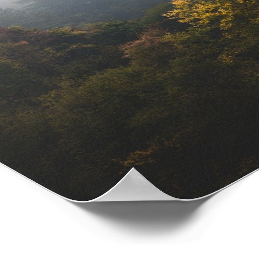 Herfstbos in mist verpakt poster (Hoek)