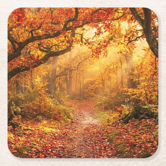 Herfstbos Kartonnen Onderzetters (Voorkant)