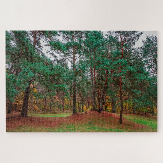 Herfstbos Legpuzzel (Horizontaal)