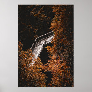 Herfstbos met houten pad poster