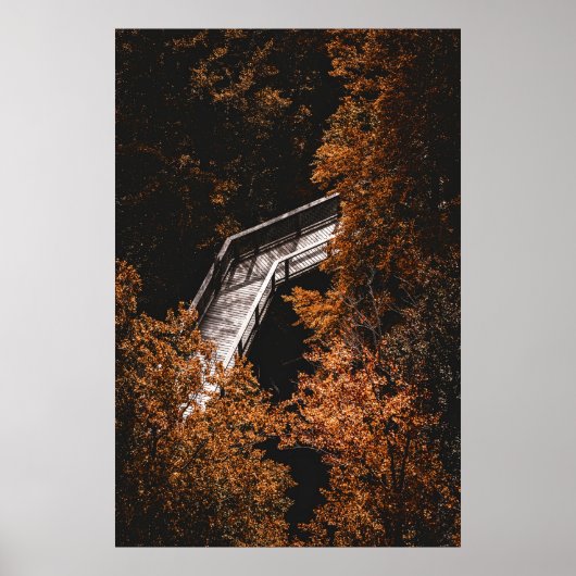 Herfstbos met houten pad poster (Voorkant)