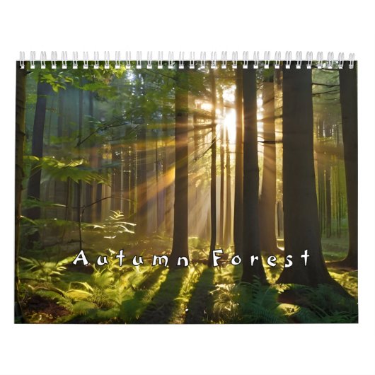 Herfstbos met zonnestralen kalender (Hoes)