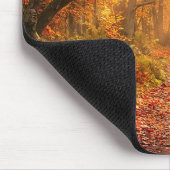 Herfstbos Muismat (Hoek)