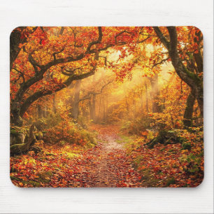 Herfstbos Muismat