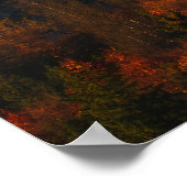 Herfstbos onder de bergen poster (Hoek)