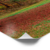 Herfstbos Perfect Poster (Hoek)