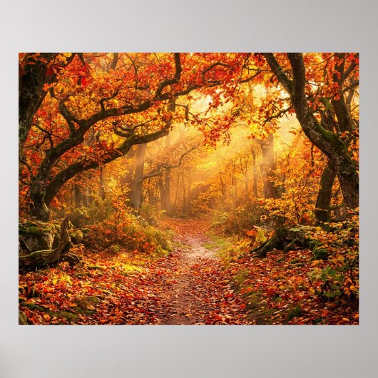 Herfstbos Poster (Voorkant)