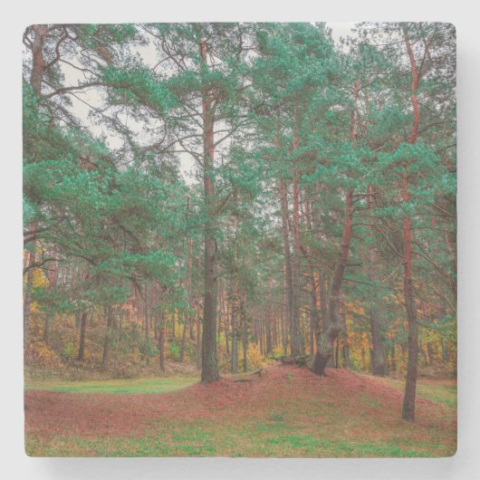 Herfstbos Stenen Onderzetter (Voorkant)