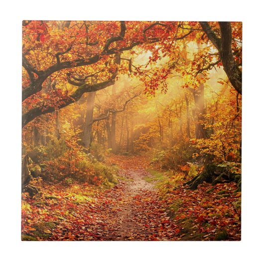 Herfstbos Tegeltje (Voorkant)