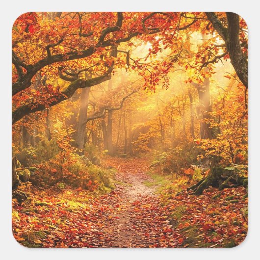 Herfstbos Vierkante Sticker (Voorkant)