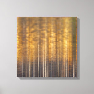 Herfstbos weerspiegeld in Abstract water Canvas Afdruk