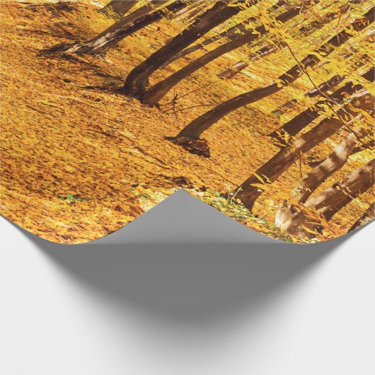 Herfstboslandschap Cadeaupapier (Hoek)