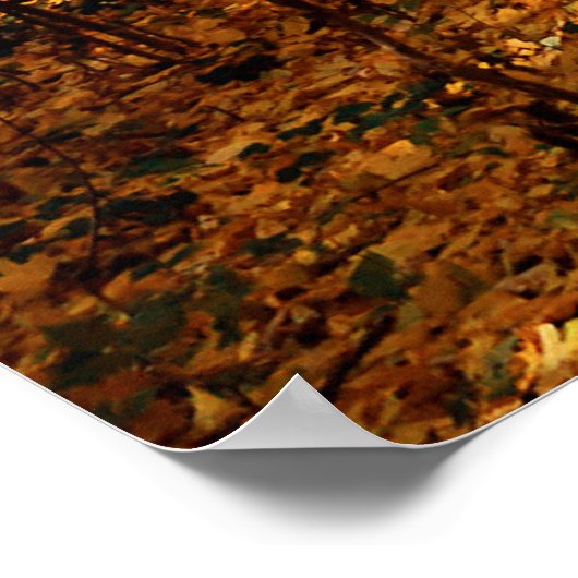 Herfstboslandschap Poster (Hoek)