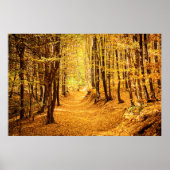 Herfstboslandschap Poster (Voorkant)
