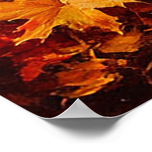 Herfstbospad omgeven door berkenbomen poster (Hoek)