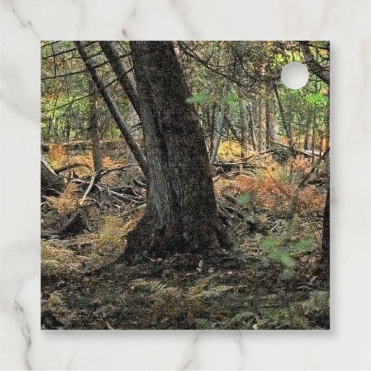 Herfstbosscène Bedankjes Labels (Achterkant)