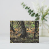 Herfstbosscène Briefkaart (Staand voorkant)