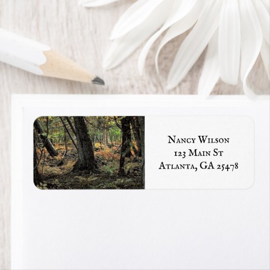 Herfstbosscène Etiket (Insitu)