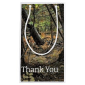 Herfstbosscène Klein Cadeauzakje (Voorkant)