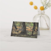 Herfstbosscène Plaatskaartje (Achterkant)