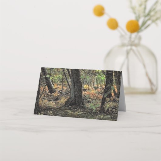 Herfstbosscène Plaatskaartje (Achterkant)