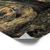 Herfstbosscène Poster (Hoek)