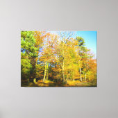 Herfstbossen & Zonneschijn - Canvas Afdruk (Voorkant)