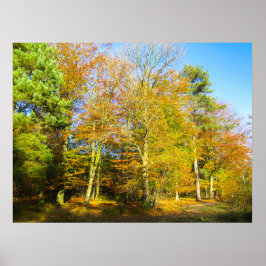 Herfstbossen & Zonneschijn - Gepersonaliseerd Poster