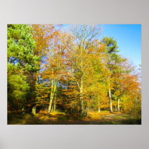 Herfstbossen & Zonneschijn - Gepersonaliseerd Poster