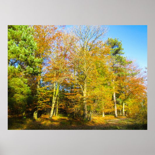 Herfstbossen & Zonneschijn - Gepersonaliseerd Poster (Voorkant)