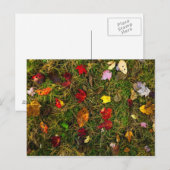 Herfstbosvloer Briefkaart (Voorkant / Achterkant)