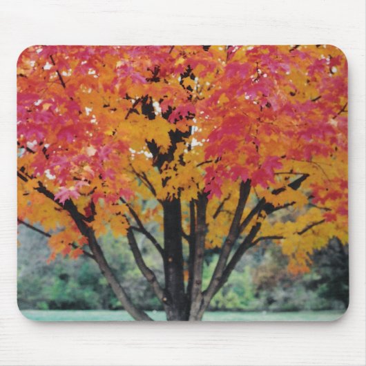 Herfstbrand Muismat (Voorkant)