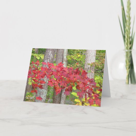 herfstbriefkaart kaart (Voorkant)
