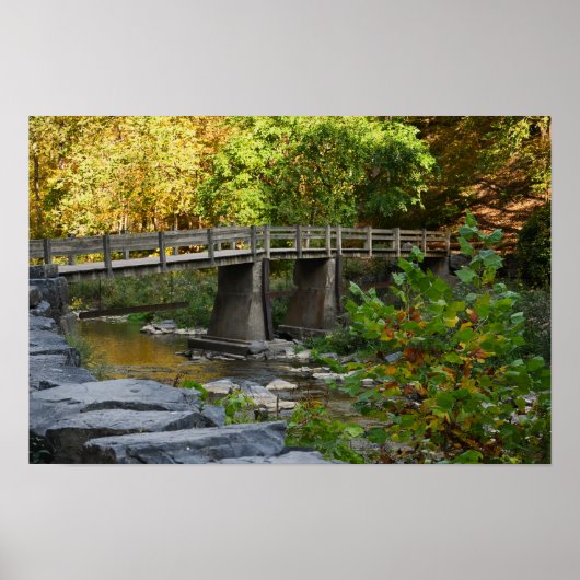 Herfstbrug Waterscape Foto Poster (Voorkant)