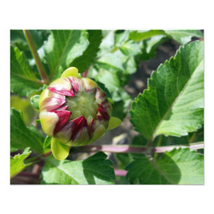 herfstbuis foto afdruk