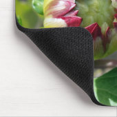 herfstbuis muismat (Hoek)