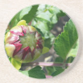 herfstbuis zandsteen onderzetter (Voorkant)